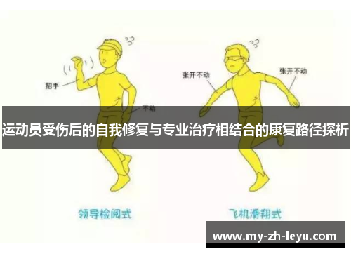 运动员受伤后的自我修复与专业治疗相结合的康复路径探析