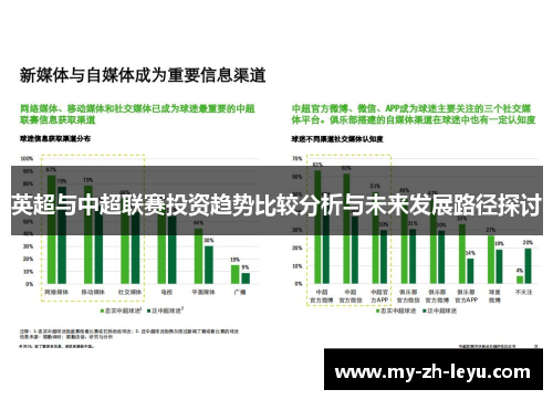 英超与中超联赛投资趋势比较分析与未来发展路径探讨