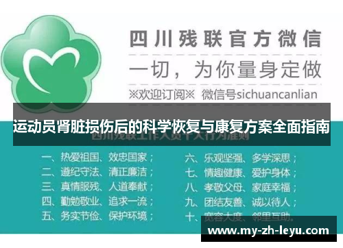 运动员肾脏损伤后的科学恢复与康复方案全面指南